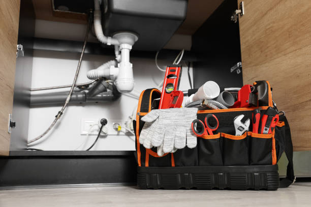 Best Local Plumber Services  in Satsuma, AL